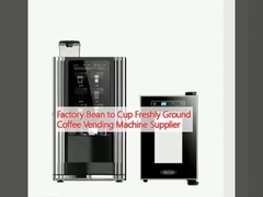 Factory Bean to Cup Freshly Ground Coffee Vending Machine Supplier