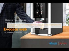 Convenient and User-Friendly Bean To Cup Coffee Vending Machine for Your Office Needs